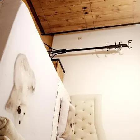 Papatya Residence 2 דירה איסטמבול